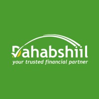 Dahabshiil logo - Similar company to Fikrcamp