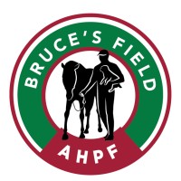 AIKEN HORSE PARK FOUNDATION