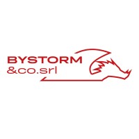 BySTORM & CO. logo - Similar company to Dts 2.0