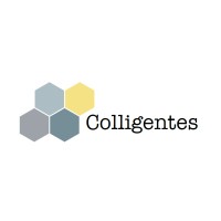 Colligentes družstvo logo - Similar company to Opium Systems