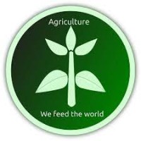 EAT PLANT LTD logo - Similar company to Fullstalk