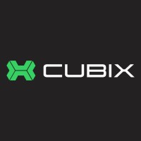 Cubix_World logo - Similar company to Wnexus Tech Studio