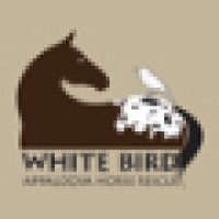 White Bird Appaloosa Horse Rescue