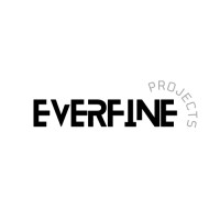Everfine Projects logo - Similar company to Dataforce Solutions
