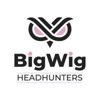 BigWig Headhunters logo - Similar company to Ground2Results
