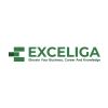 PT. Exceliga One Stop Solution logo - Similar company to Vibron Safety