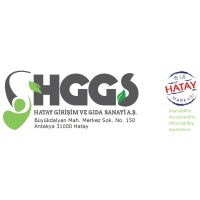 Hatay Girişim ve Gıda San. A.Ş. logo - Similar company to Global Brands Union