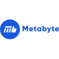 Metabyte Management and IT Solutions logo - Similar company to Serpoint Services Private Limited