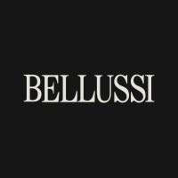 BELLUSSI SPUMANTI S.R.L logo - Similar company to Bellussi Group