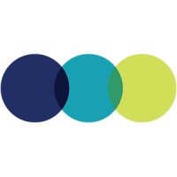 Evangelical Alliance logo - Similar company to Whitestone Insight