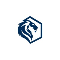 Lionet Networks logo - Similar company to Lionet Technologies Ltd