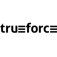 Trueforce, Inc. (dba AssureSoft Digital) logo - Similar company to 12 Monkeys