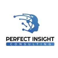 Perfect Insight Consulting