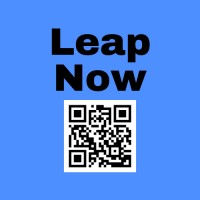Leap Now Growth Partners logo - Similar company to Nowy
