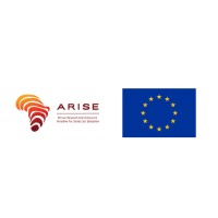 Arise  Initiative logo - Similar company to Consa