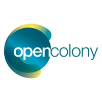 Open Colony Consulting logo - Similar company to Open Camp