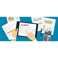 AUDEXI logo - Similar company to Sarvec Conseils