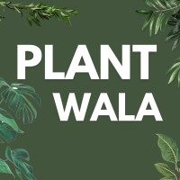 Plant Wala bd logo - Similar company to Sprint Mind