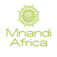 Mnandi Africa logo - Similar company to Rezpardazan Information Technology Services Company