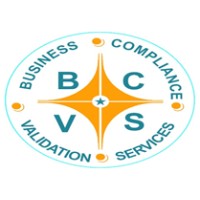 BCVS Group, Inc. logo - Similar company to Verotech Solutions, Llc