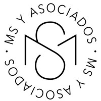 MS y Asociados logo - Similar company to Whitebridge Financial Services Ltd