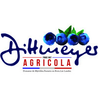 SCEA Dittmeyer Agricola (Domaine des Myrtilles) logo - Similar company to Domaine De Lucain