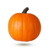 LA CITROUILLE DIGITALE : Strategie de citrouilles algorithmiques logo - Similar company to Kiboko
