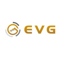 EVG Corporation logo - Similar company to Vidimax