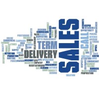 Sales Strategy India logo - Similar company to Sales Excel