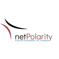 netPolarity, Inc. (Saicon Consultants, Inc.) logo - Similar company to Saicon