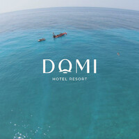 Domi Drymades logo - Similar company to Captar Bv