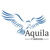 Aquila Information & Technology Services logo - Similar company to Safetynet Technology Solutions