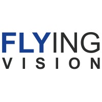 FLYINGVISION SAS logo - Similar company to Action-Ndt