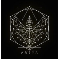 TEAM ARSYA logo - Similar company to Team Valorx