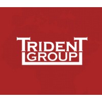 Trident Group Egypt logo - Similar company to Vypom