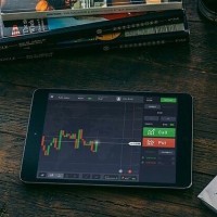 Binary Options Forex Signals logo - Similar company to Qualebroker.Com