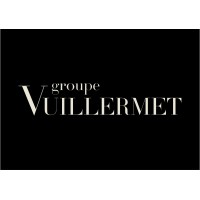 Groupe Vuillermet logo - Similar company to Staci Aura (Ex Logigônes)