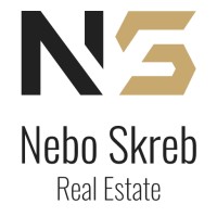 NS Real Estate logo - Similar company to Nova Assets Real Estate Llc