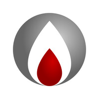 BRIGADA MINEIRA CONSULTORIA E TREINAMENTOS logo - Similar company to Brigada Bh
