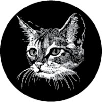 Nine Lives Store logo - Similar company to Staddon Design