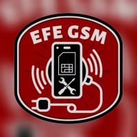 EFE GSM logo - Similar company to Meditericom