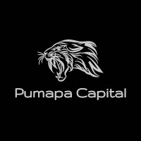 Pumapa Capital logo - Similar company to Studio Meza