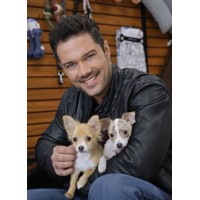 Ryan Paevey logo - Similar company to Keanu Reeves