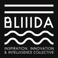 BLIIIDA logo - Similar company to Morpheus Formation - Formations Excel Et Power Bi