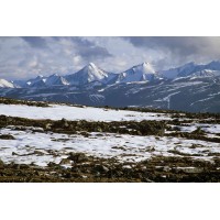 Organizational Analysts logo - Similar company to Pickering Manor