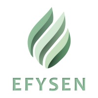 EFYSEN logo - Similar company to Solties