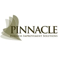 Pinnacle Business Improvement Solutions logo - Similar company to Pinnacle Business Solutions