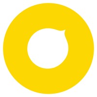 KOIRON | Nearshore for USA from Latam logo - Similar company to Possumus