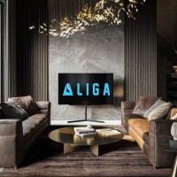 ALIGA Realty logo - Similar company to Aliga
