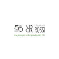 Ritorcitura F.lli Rossi Srl logo - Similar company to Dazemade